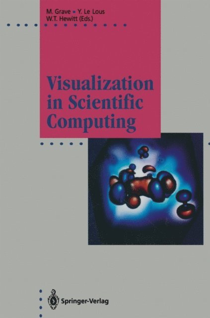 W.Terry Hewitt, Yvon Le Lous, Michel Grave - Visualization in Scientific Computing, E-bok