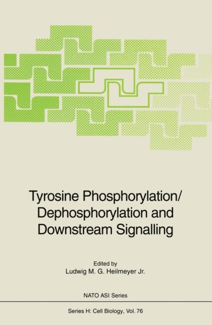 Ludwig M.G.Jr. Heilmeyer - Tyrosine Phosphorylation/Dephosphorylation and Downstream Signalling, E-bok