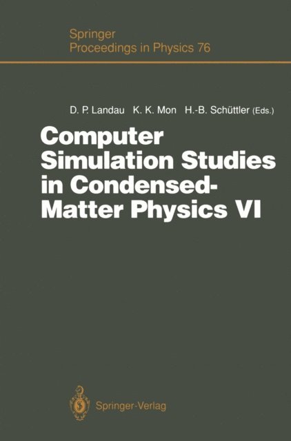 Heinz-Bernd Schuttler, K.K. Mon, David P. Landau - Computer Simulation Studies in Condensed-Matter Physics VI, E-bok