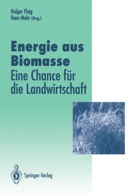Hans Mohr, Holger Flaig - Energie aus Biomasse, E-bok