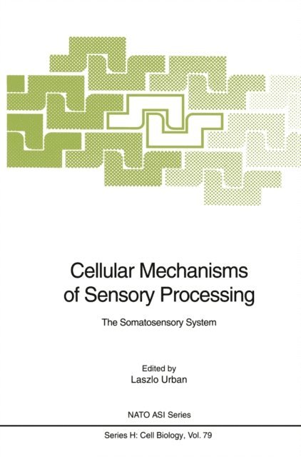 Laszlo Urban - Cellular Mechanisms of Sensory Processing, E-bok