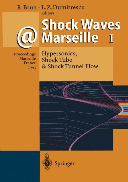 Lucien Z. Dumitrescu, Raymond Brun - Shock Waves @ Marseille I, E-bok