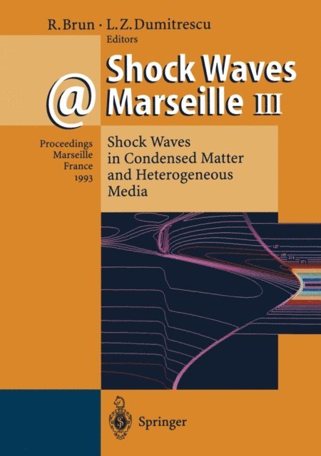 Lucien Z. Dumitrescu, Raymond Brun - Shock Waves @ Marseille III, E-bok