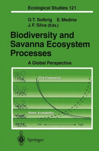 Juan F. Silva, Ernesto Medina, Otto T. Solbrig - Biodiversity and Savanna Ecosystem Processes, E-bok