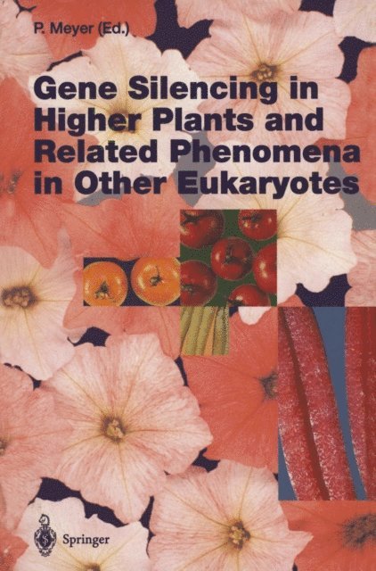 Peter Meyer - Gene Silencing in Higher Plants and Related Phenomena in Other Eukaryotes, E-bok