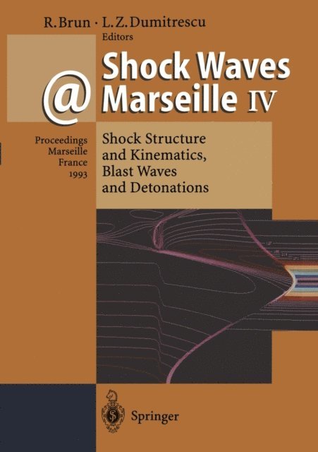 Lucien Z. Dumitrescu, Raymond Brun - Shock Waves @ Marseille IV, E-bok