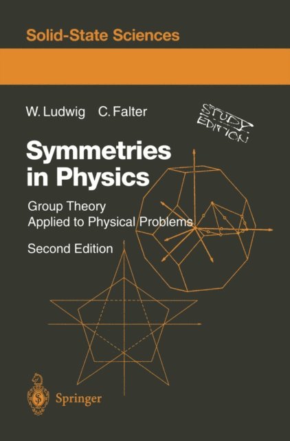 Claus Falter, Wolfgang Ludwig - Symmetries in Physics, E-bok