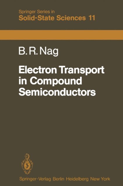 B.R. Nag - Electron Transport in Compound Semiconductors, E-bok