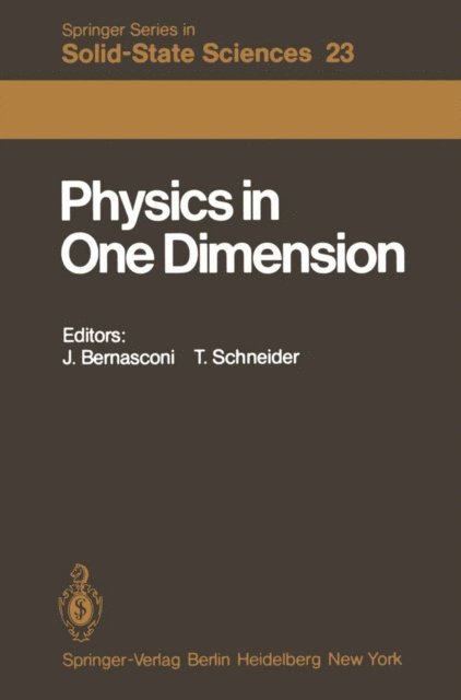 T. Schneider, J. Bernasconi - Physics in One Dimension, E-bok