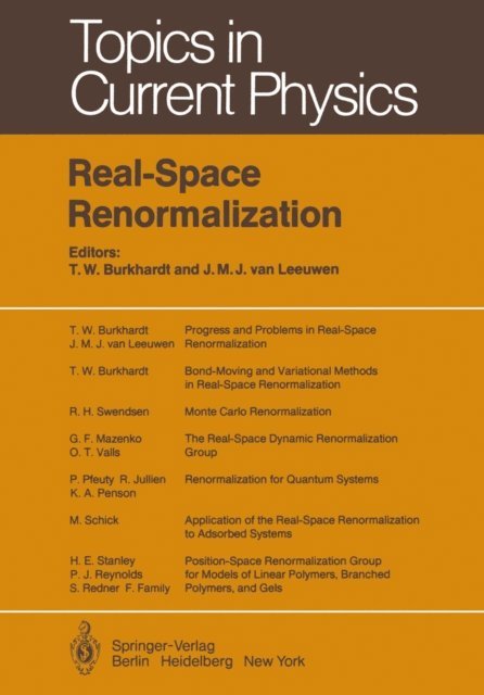 J.M.J. van Leeuwen, T.W. Burkhardt - Real-Space Renormalization, E-bok