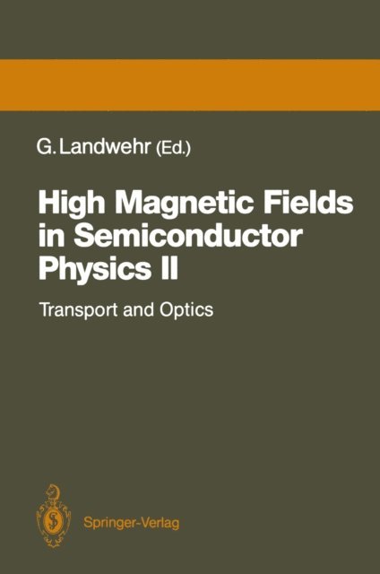 Gottfried Landwehr - High Magnetic Fields in Semiconductor Physics II, E-bok