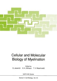 Cellular and Molecular Biology of Myelination