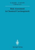 Risk Assessment in Chemical Carcinogenesis