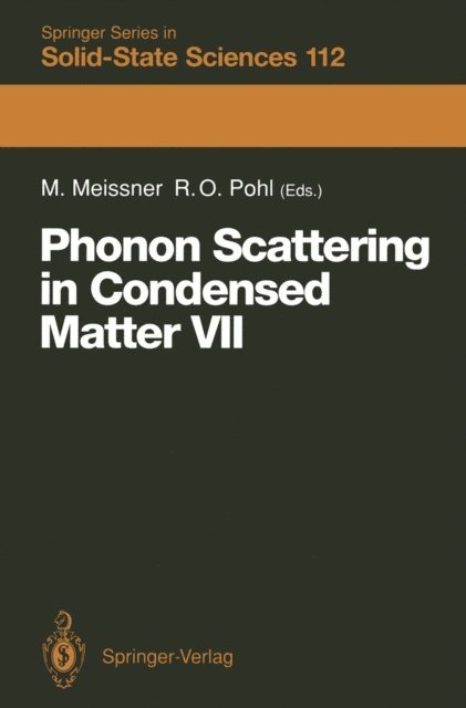 Robert O. Pohl, Michael Meissner - Phonon Scattering in Condensed Matter VII, E-bok