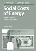 Social Costs of Energy