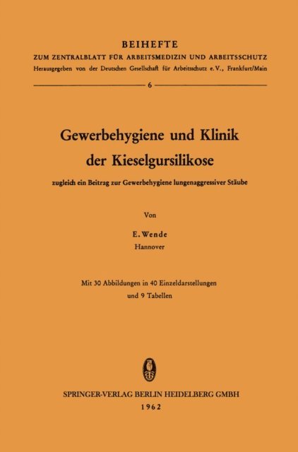 Erich Wende - Gewerbehygiene und Klinik der Kieselgursilikose, E-bok