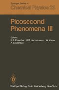 Picosecond Phenomena III