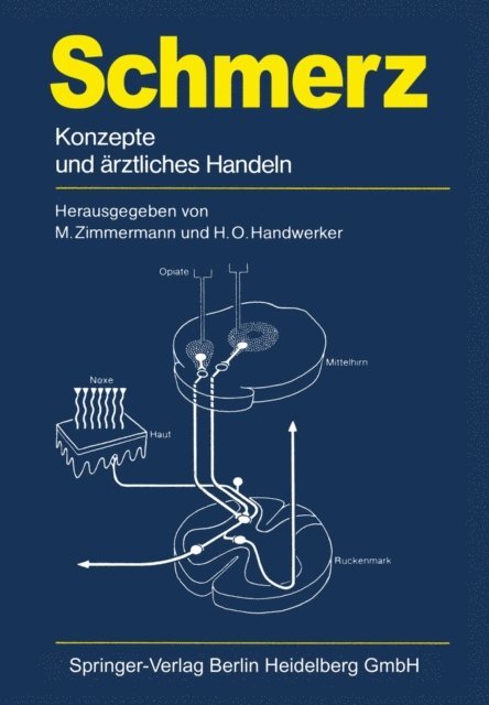 Hermann-Otto Handwerker, Manfred Zimmermann - Schmerz, E-bok