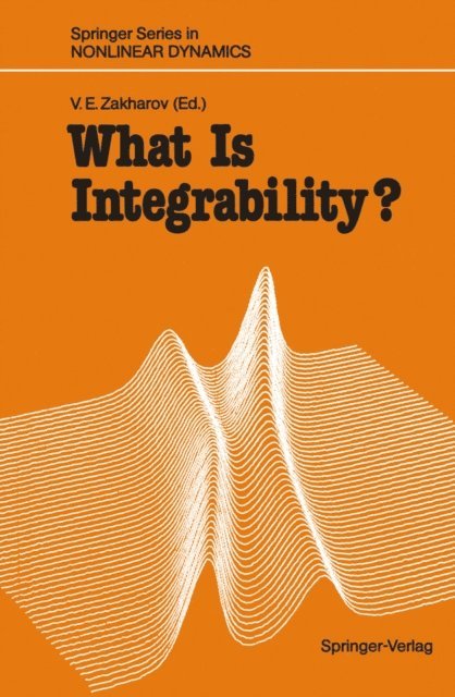 Vladimir E. Zakharov - What Is Integrability?, E-bok