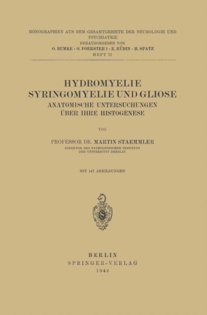 Martin Staemmler, H. Spatz, E. Rudin, O. Foerster, O. Bumke - Hydromyelie Syringomyelie und Gliose, E-bok
