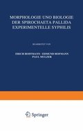 Morphologie und Biologie der Spirochaeta Pallida Experimentelle Syphilis