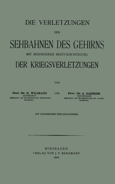 Alfred Saenger, Hermann Wilbrand - Die Verletzungen der Sehbahnen des Gehirns mit Besonderer Berücksichtigung der Kriegsverletzungen, E-bok