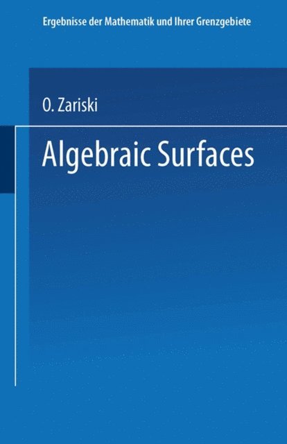 O. Zariski - Algebraic Surfaces, E-bok