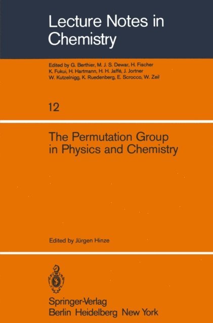 J. Hinze - Permutation Group in Physics and Chemistry, E-bok