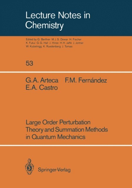 Eduardo A. Castro, Francisco M. Fernandez, Gustavo A. Arteca - Large Order Perturbation Theory and Summation Methods in Quantum Mechanics, E-bok