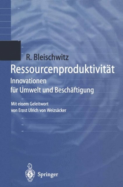 Raimund Bleischwitz - Ressourcenproduktivität, E-bok