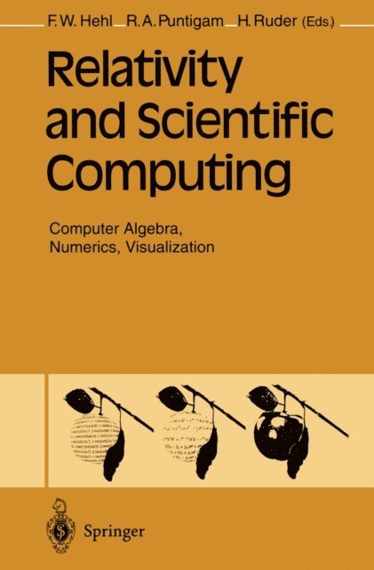 Hanns Ruder, Roland A. Puntigam, Friedrich W Hehl - Relativity and Scientific Computing, E-bok