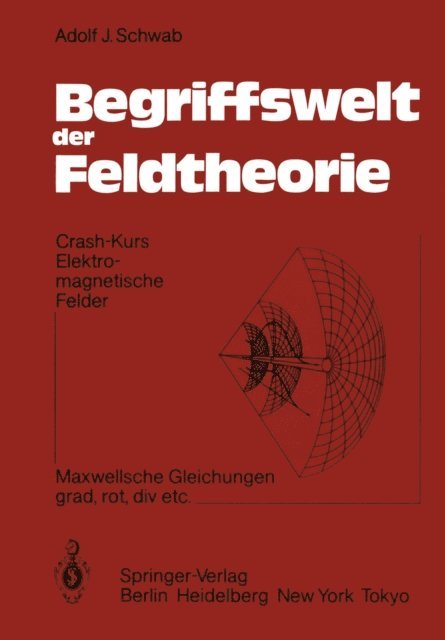 Adolf J. Schwab - Begriffswelt der Feldtheorie, E-bok