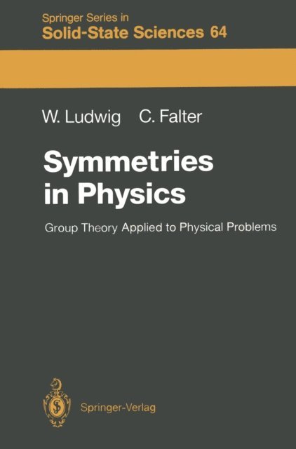 Claus Falter, Wolfgang Ludwig - Symmetries in Physics, E-bok