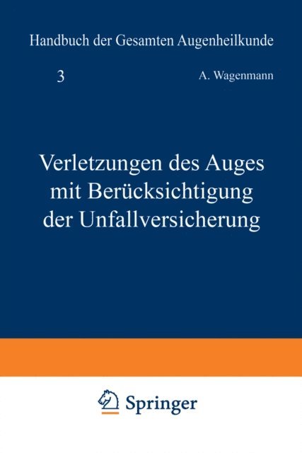 A. Wagenmann - Verletzungen des Auges mit Berücksichtigung der Unfallversicherung, E-bok