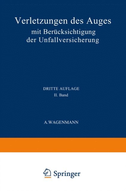 A. Wagenmann - Verletzungen des Auges, E-bok