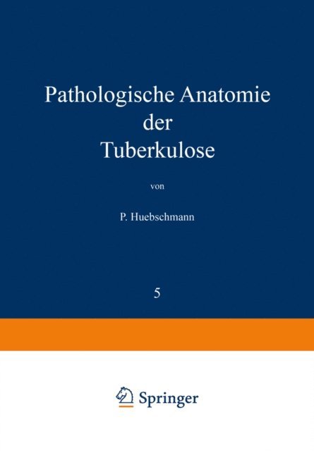 P. Huebschmann, H. Ulrici, L. Brauer - Pathologische Anatomie der Tuberkulose, E-bok