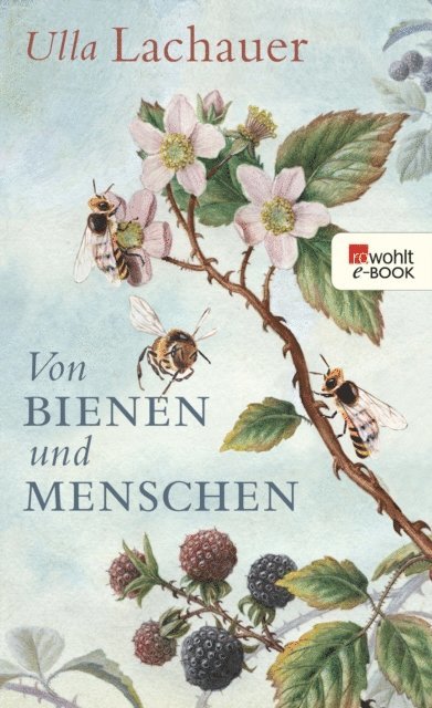 Ulla Lachauer - Von Bienen und Menschen, E-bok