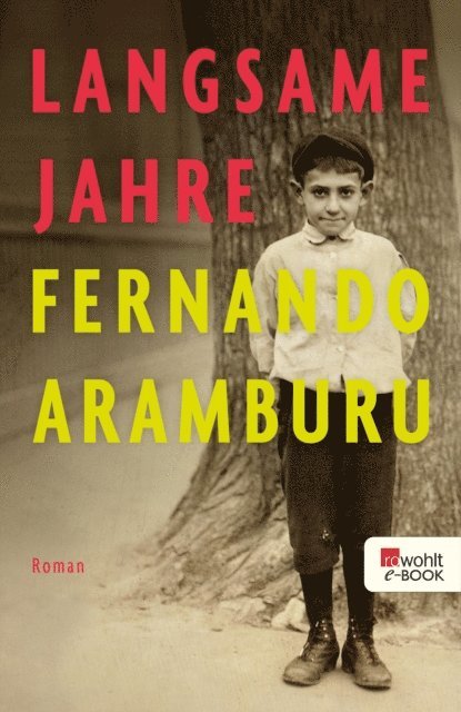 Fernando Aramburu - Langsame Jahre, E-bok