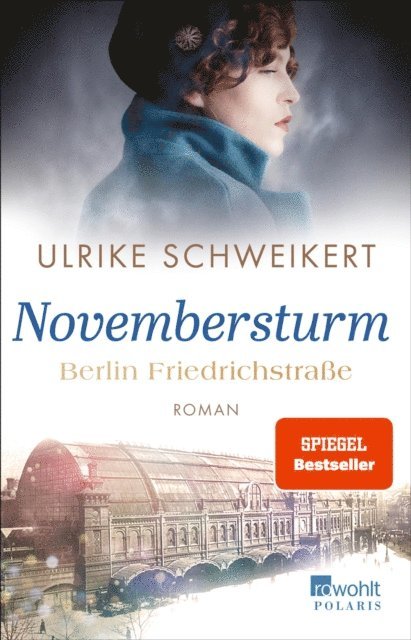 Ulrike Schweikert - Berlin Friedrichstraße: Novembersturm, E-bok