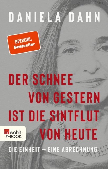 Daniela Dahn - Der Schnee von gestern ist die Sintflut von heute, E-bok