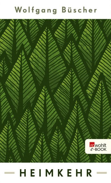 Wolfgang Buscher - Heimkehr, E-bok
