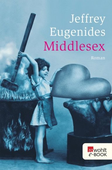 Jeffrey Eugenides - Middlesex, E-bok