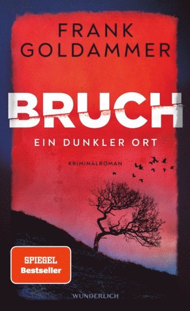 Frank Goldammer - Bruch: Ein dunkler Ort, E-bok
