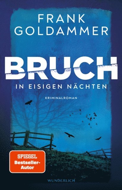 Frank Goldammer - Bruch: In eisigen Nächten, E-bok