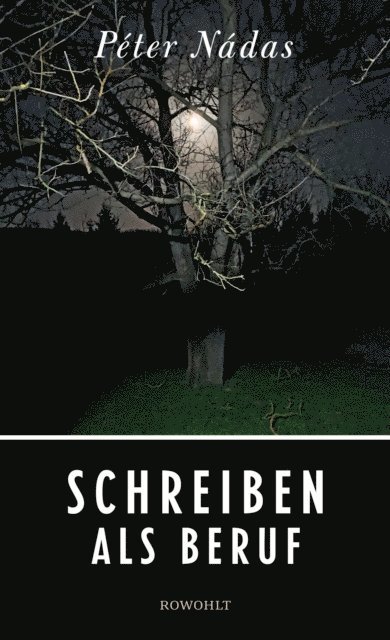 Peter Nadas - Schreiben als Beruf, E-bok