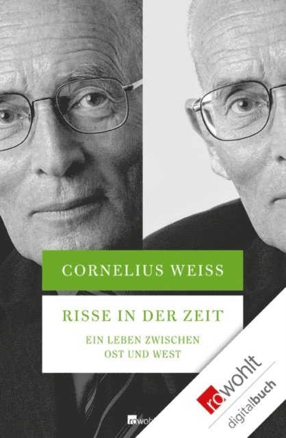 Cornelius Weiss - Risse in der Zeit, E-bok