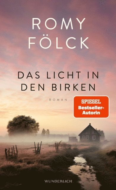 Romy Folck - Das Licht in den Birken, E-bok
