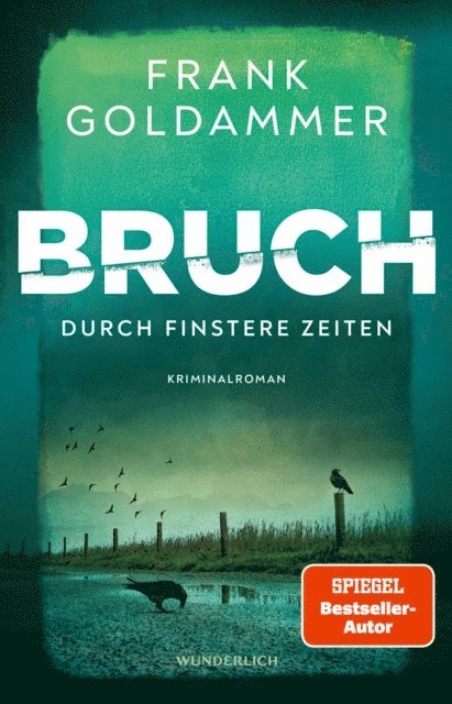 Frank Goldammer - Bruch: Durch finstere Zeiten, E-bok
