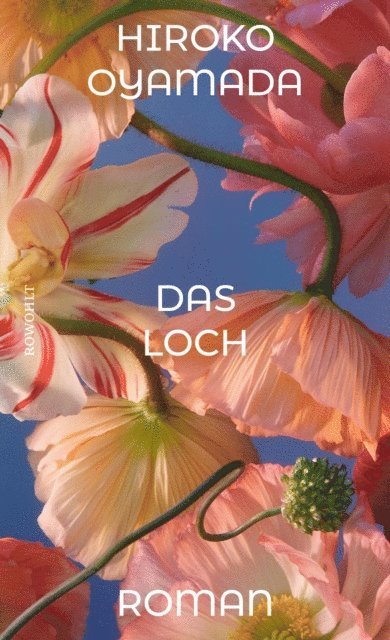 Hiroko Oyamada - Das Loch, E-bok