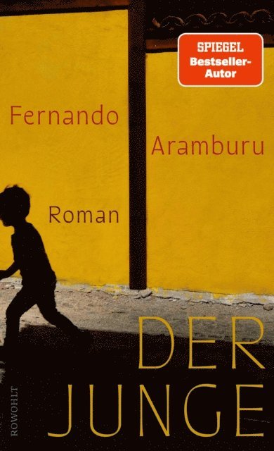 Fernando Aramburu - Der Junge, E-bok